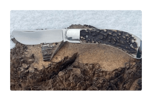 EDC Knife - Single Blade Saddlehorn in Stag
