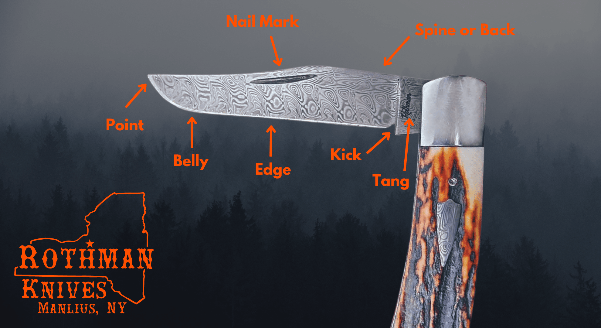 Knife Blade Anatomy